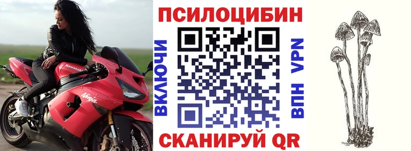 Псилоцибиновые грибы Cubensis  кракен tor  Суджа 